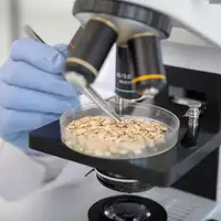 Agriculture & Grain Testing